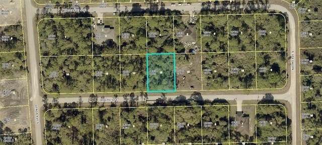 1115 Ralph St, Lehigh Acres, FL 33974