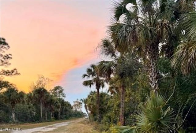 36th Ave SE, Naples, FL 34117 - photo 7
