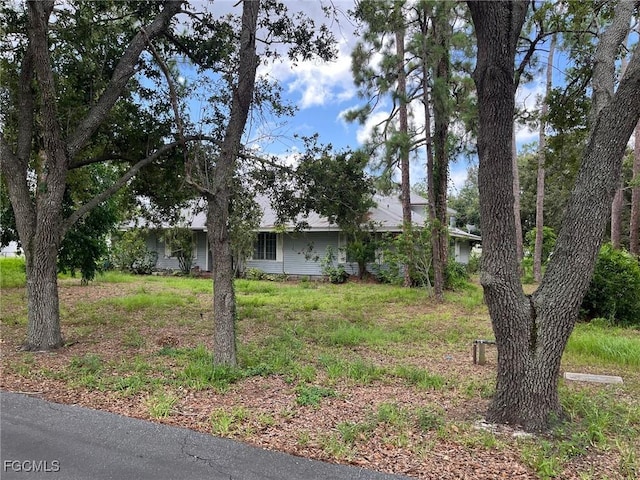 6292 Morgan La Fee Ln, Fort Myers, FL 33912 - view of front facade