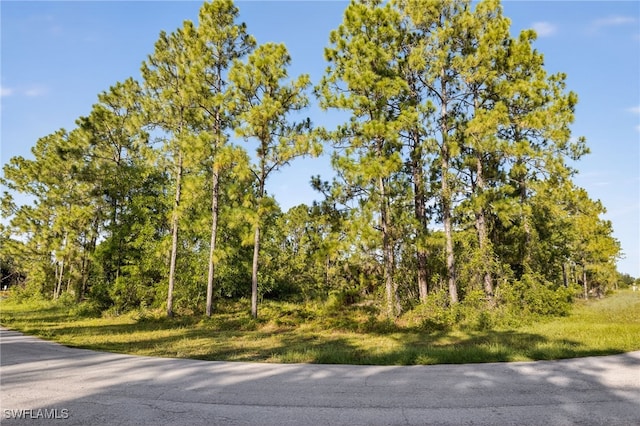 724 David Laird Ln, Lehigh Acres, FL 33974 - photo 6