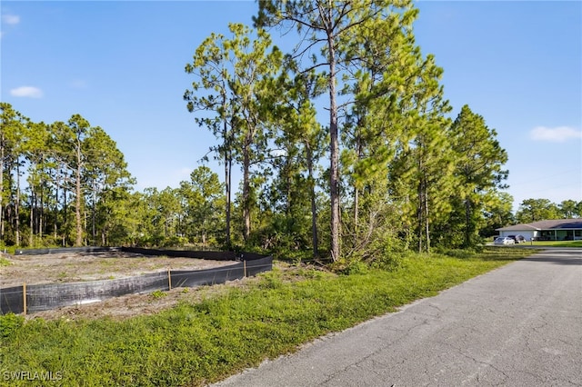 724 David Laird Ln, Lehigh Acres, FL 33974 - photo 8