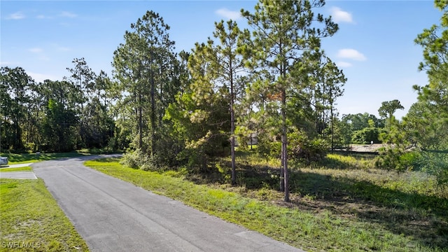 724 David Laird Ln, Lehigh Acres, FL 33974 - photo 9