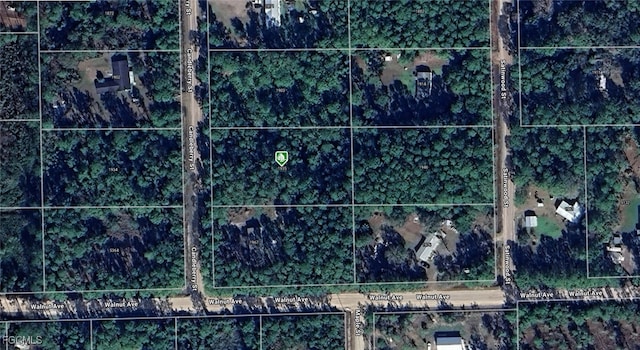 1935 Candleberry St, Bunnell, FL 32110 - photo 1