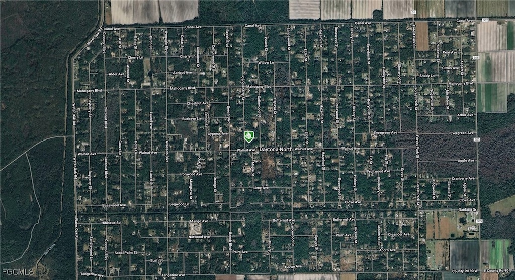 1935 Candleberry St, Bunnell, FL 32110 - photo 3