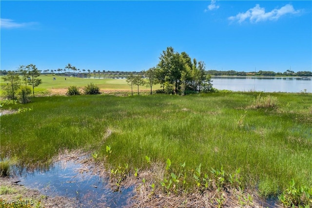 10026 Siesta Bay Dr Unit 9113, Naples, FL 34120 - photo 28