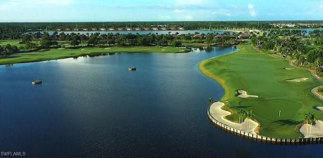 10026 Siesta Bay Dr Unit 9113, Naples, FL 34120 - photo 44