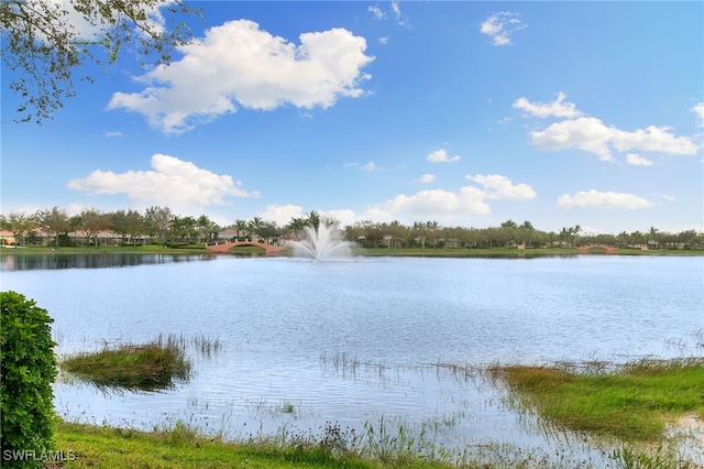 7528 Novara Ct, Naples, FL 34114 - photo 39