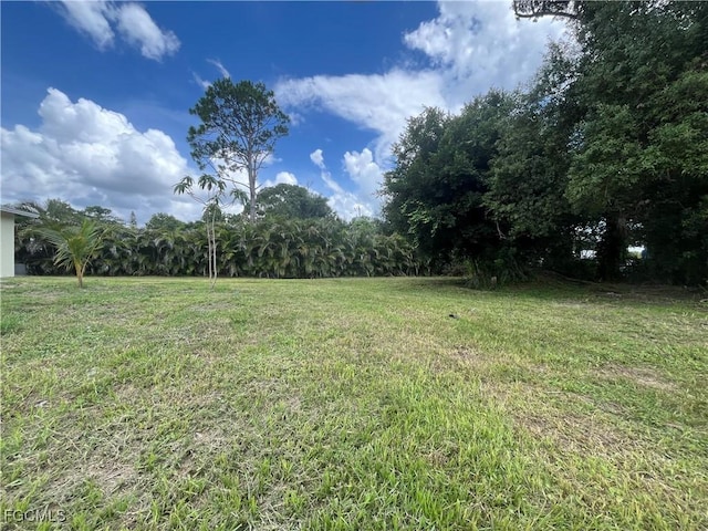 1275 Old Bridge Rd, North Fort Myers, FL 33917 - photo 42