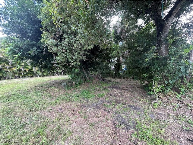 1275 Old Bridge Rd, North Fort Myers, FL 33917 - photo 47