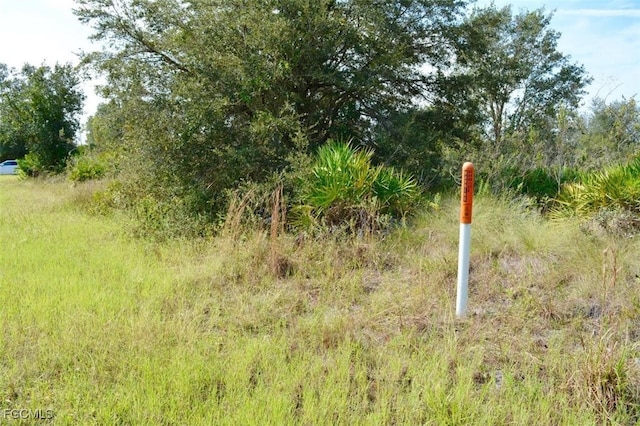 2700 66th St W, Lehigh Acres, FL 33971 - photo 9