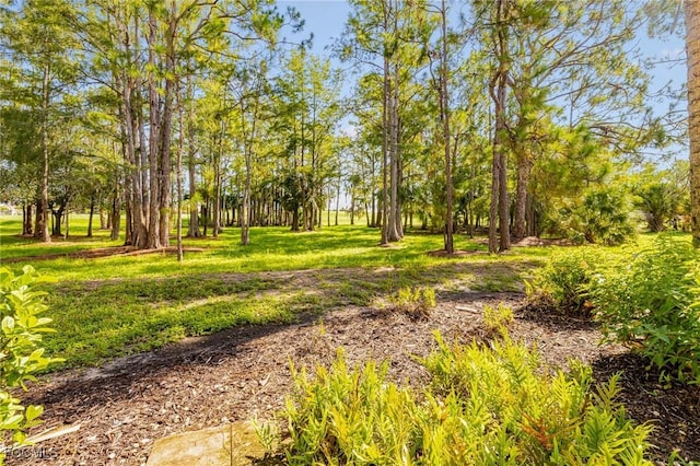 10800 Palazzo Way Unit 105, Fort Myers, FL 33913 - photo 40