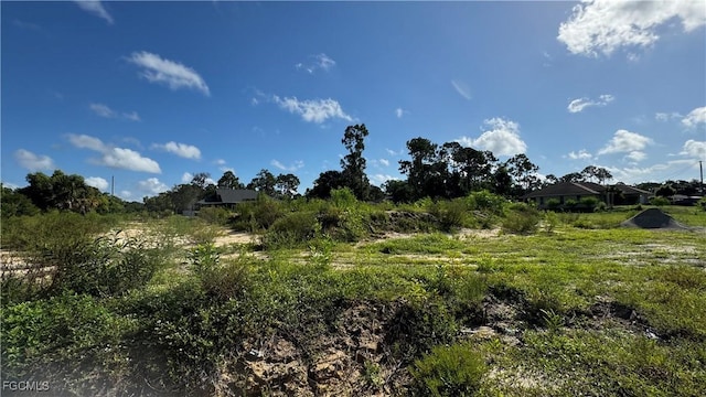 4206 2nd St SW, Lehigh Acres, FL 33976 - photo 2