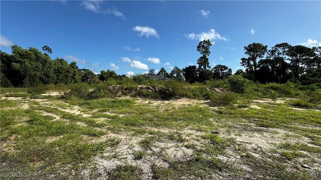 4206 2nd St SW, Lehigh Acres, FL 33976 - photo 3