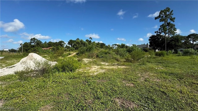 4206 2nd St SW, Lehigh Acres, FL 33976 - photo 5