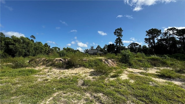 4206 2nd St SW, Lehigh Acres, FL 33976 - photo 7