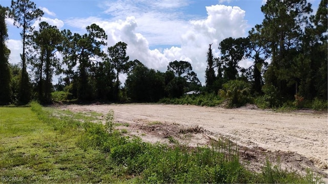 509 Columbus Blvd S, Lehigh Acres, FL 33974 - photo 1