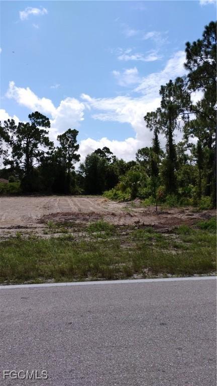509 Columbus Blvd S, Lehigh Acres, FL 33974 - photo 2