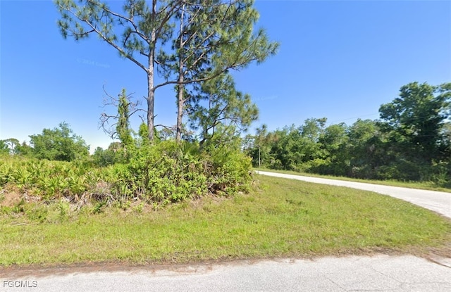 3527 Dwight St, Port Charlotte, FL 33981 - photo 2