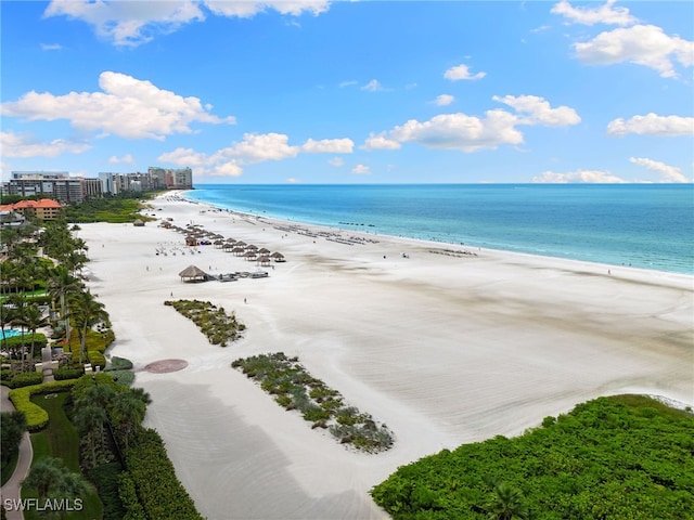 225 S Collier Blvd Unit 1-102, Marco Island, FL 34145 - photo 41