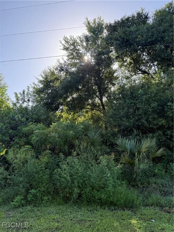 755 S Palomino St, Clewiston, FL 33440 - photo 6