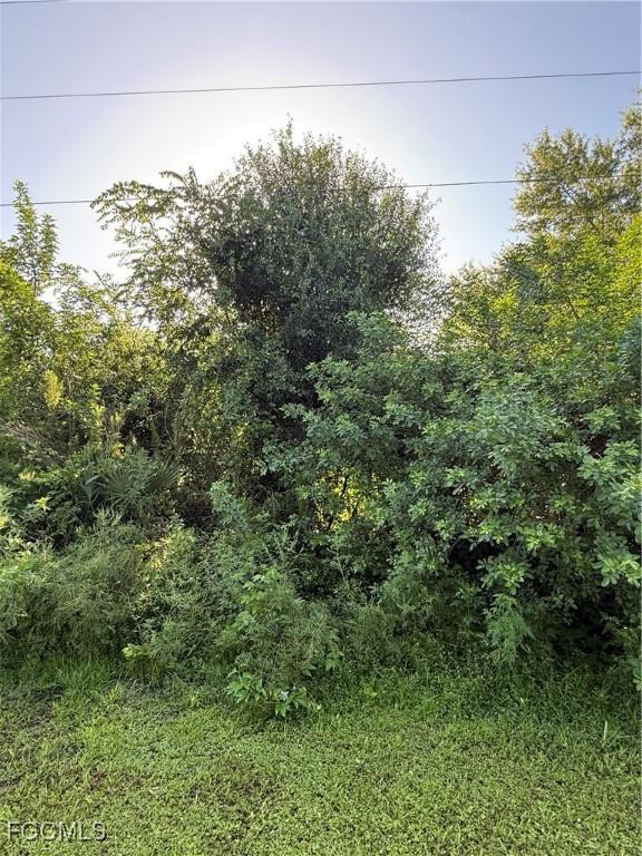 755 S Palomino St, Clewiston, FL 33440 - photo 10