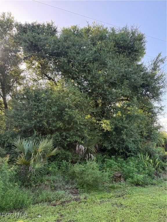 755 S Palomino St, Clewiston, FL 33440 - photo 14