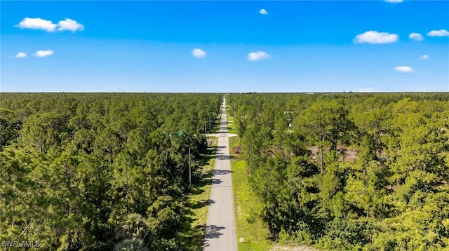 1107 Congress Ave, Lehigh Acres, FL 33972 - photo 4