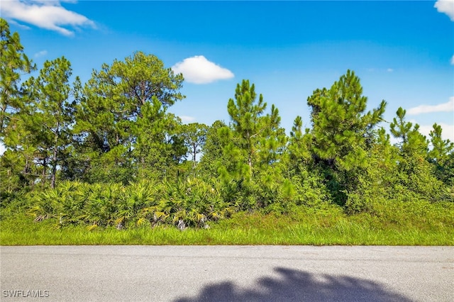 1107 Congress Ave, Lehigh Acres, FL 33972 - photo 5