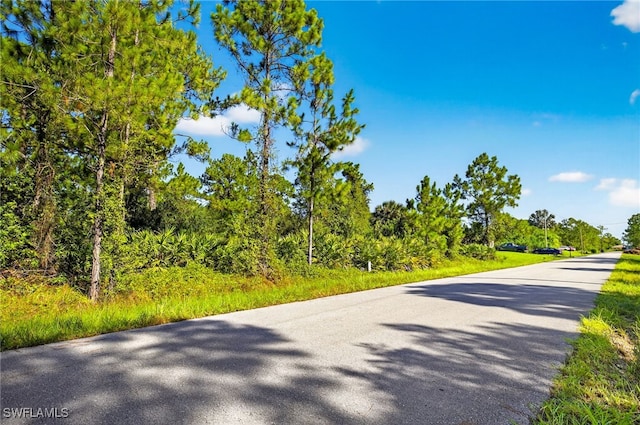 1107 Congress Ave, Lehigh Acres, FL 33972 - photo 6