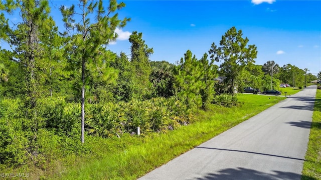 1107 Congress Ave, Lehigh Acres, FL 33972 - photo 7