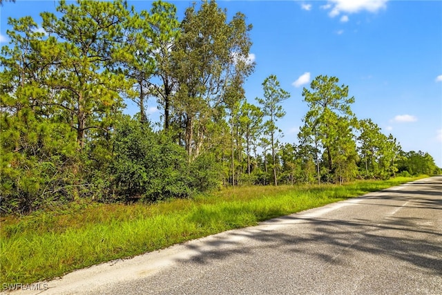 1405 Washington Ave, Lehigh Acres, FL 33972 - photo 6