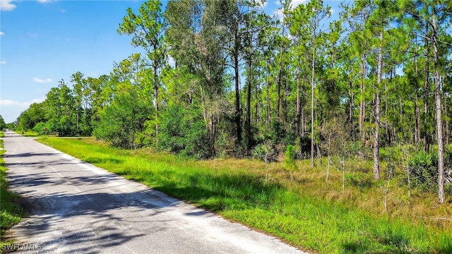 1405 Washington Ave, Lehigh Acres, FL 33972 - photo 7