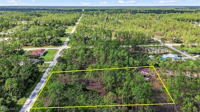 1405 Washington Ave, Lehigh Acres, FL 33972 - photo 1