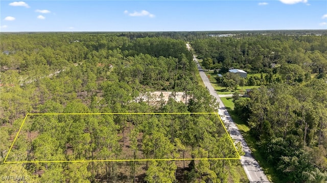 1405 Washington Ave, Lehigh Acres, FL 33972 - photo 2
