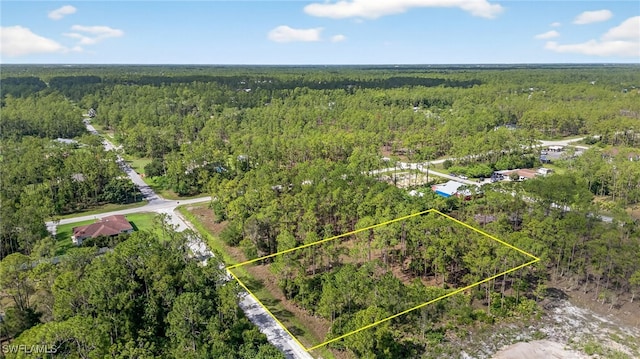 1405 Washington Ave, Lehigh Acres, FL 33972 - photo 3