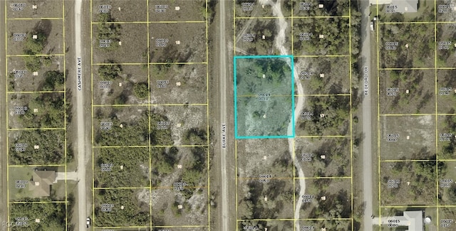 761 Burke Ave, Lehigh Acres, FL 33974 - photo 1
