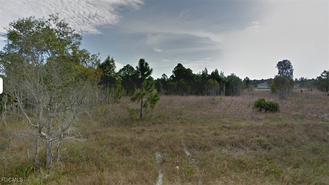 761 Burke Ave, Lehigh Acres, FL 33974 - photo 2