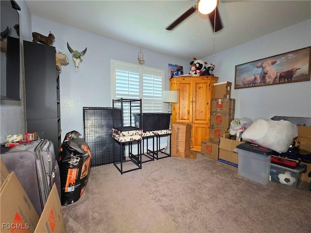 2727 NW 29th Ter, Cape Coral, FL 33993 - photo 23