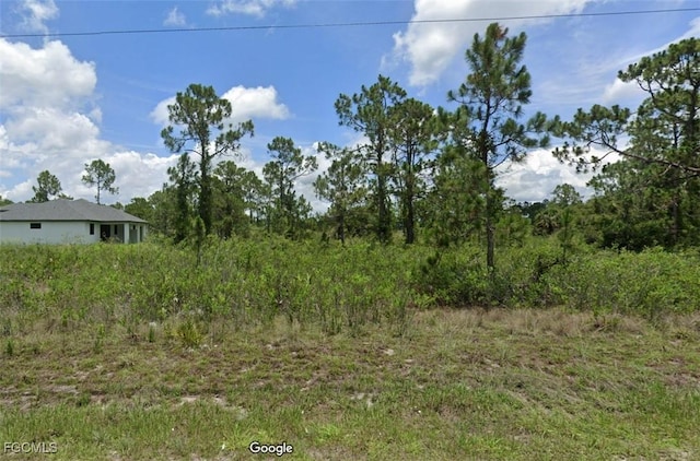 605 W 17th St, Lehigh Acres, FL 33972 - photo 1