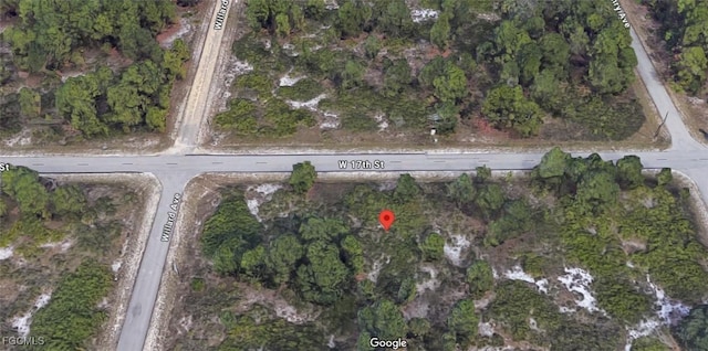 605 W 17th St, Lehigh Acres, FL 33972 - photo 3