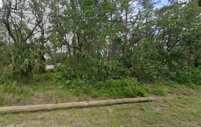 802 W 15th St, Lehigh Acres, FL 33972 - photo 1