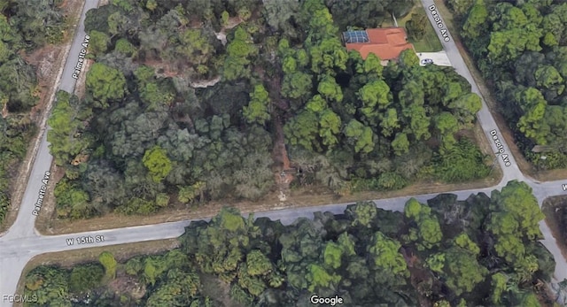802 W 15th St, Lehigh Acres, FL 33972 - photo 3