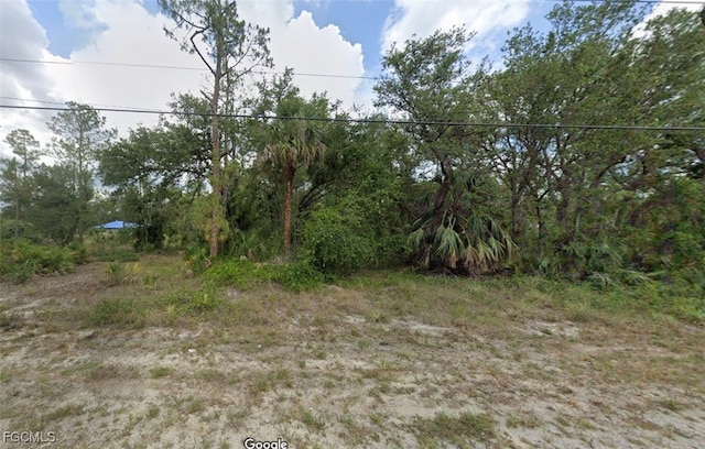 903 W 15th St, Lehigh Acres, FL 33972 - photo 1