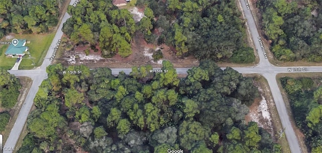 903 W 15th St, Lehigh Acres, FL 33972 - photo 3