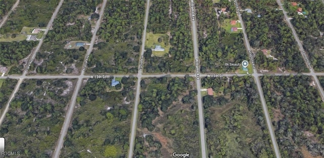 903 W 15th St, Lehigh Acres, FL 33972 - photo 4