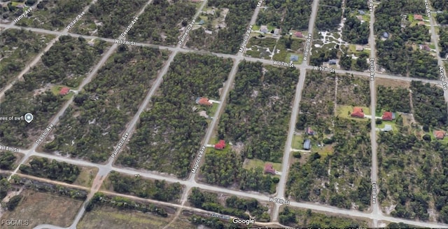 907 W 18th St, Lehigh Acres, FL 33972 - photo 5