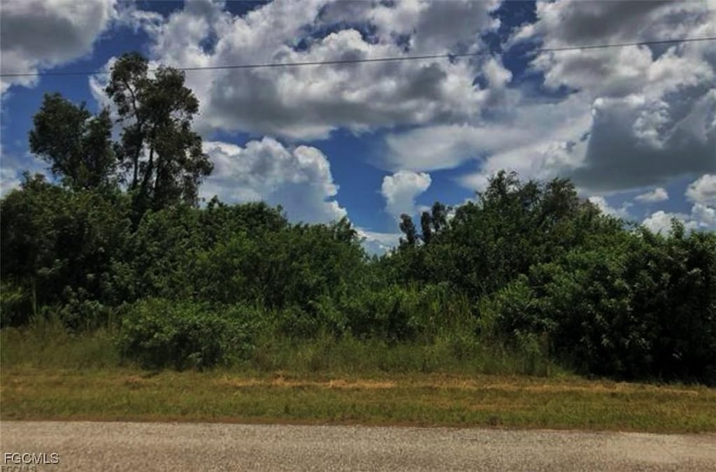 112 Preston St, Lehigh Acres, FL 33974 - photo 3