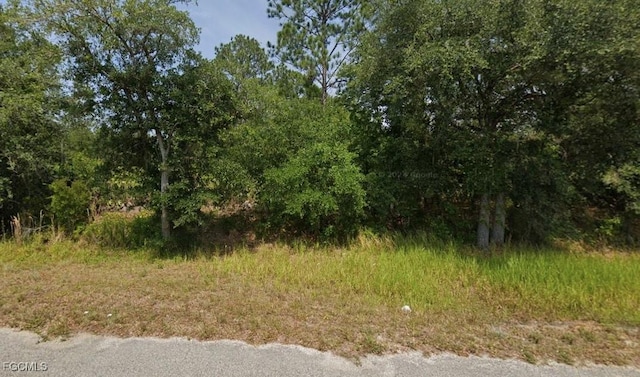 5836 Balboa Blvd, Sebring, FL 33872 - photo 2