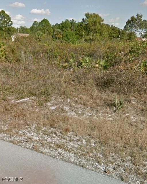 349 Genoa Ave S, Lehigh Acres, FL 33974 - photo 3