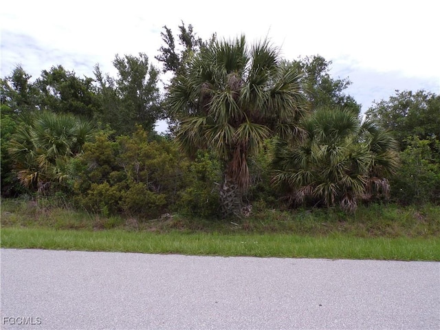 14170 Bethesda Ln, Port Charlotte, FL 33981 - photo 5
